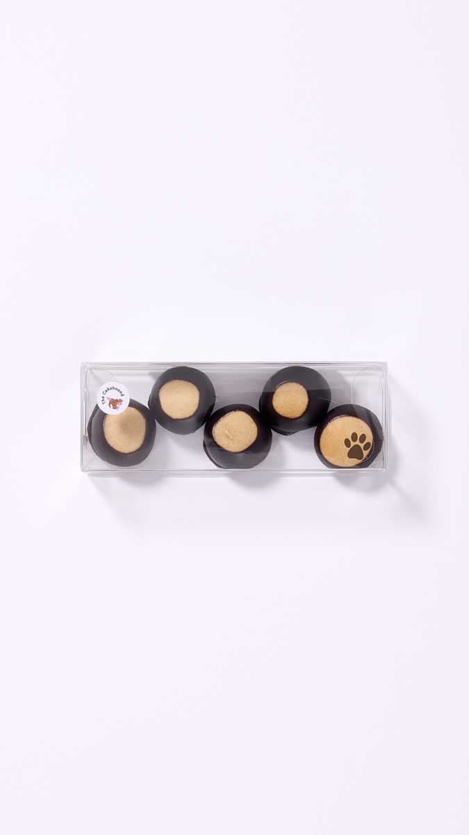 Close-up of classic buckeye candies — perfectly round, richly chocolate-dipped peanut butter